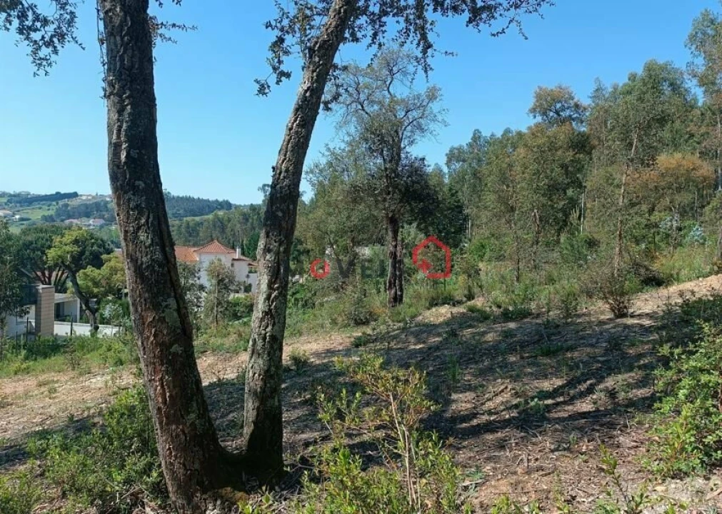 Terreno para Venda em Leiria, Pousos, Barreira e Cortes Foto 20