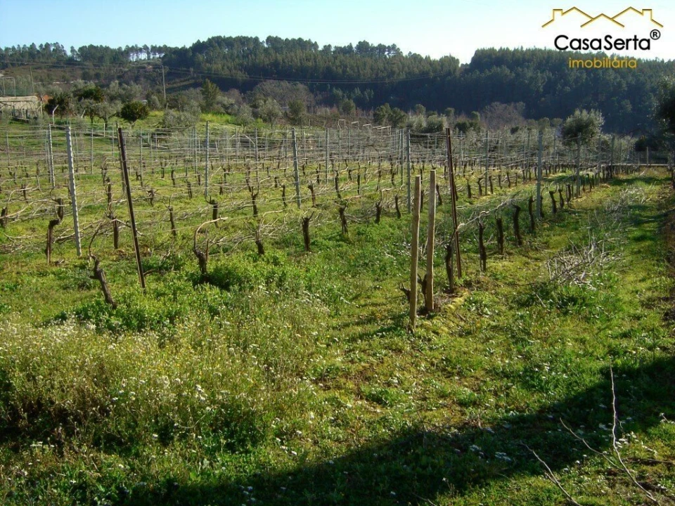 Terreno para Venda em Carvalhal Foto 1