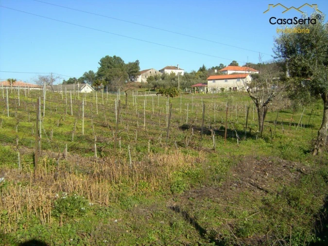 Terreno para Venda em Carvalhal Foto 3
