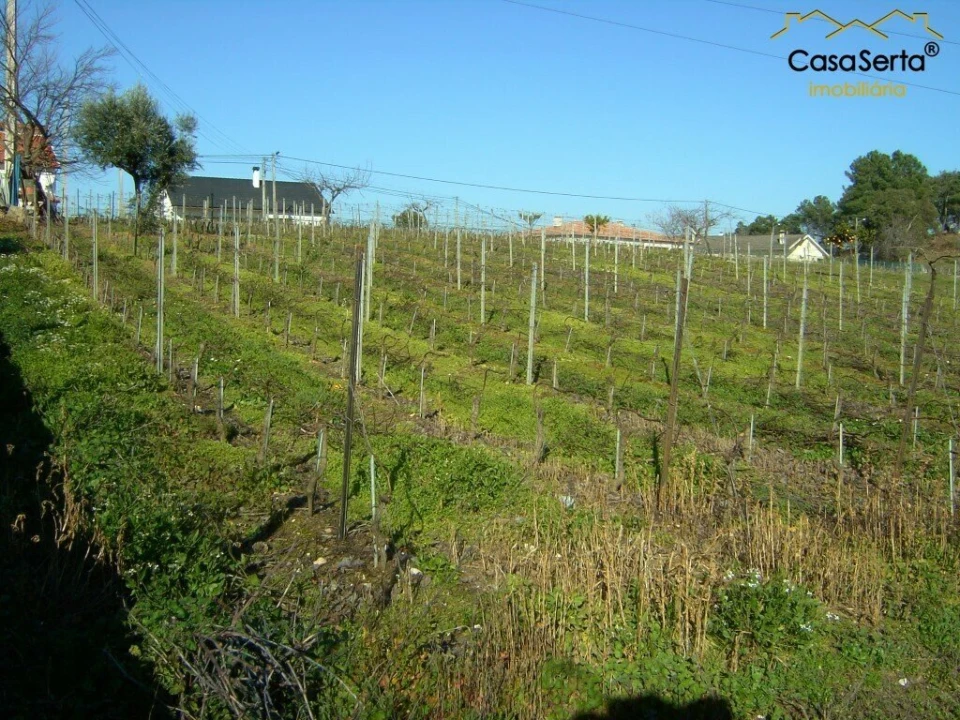 Terreno para Venda em Carvalhal Foto 2