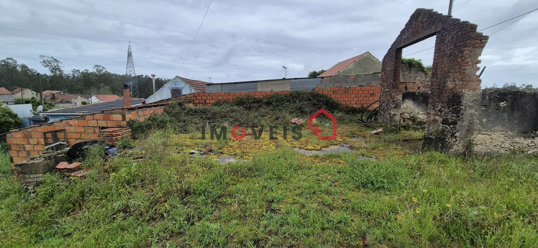 Terreno para Venda em Juncal Foto 5