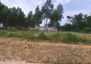 Terreno para Venda em Gulpilhares e Valadares