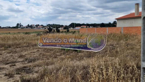 Terreno para Venda em Marinhais