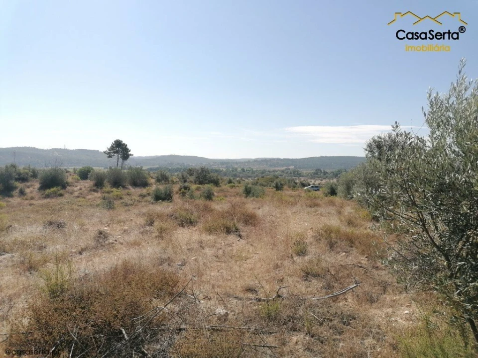Terreno para Venda em Ortiga Foto 4