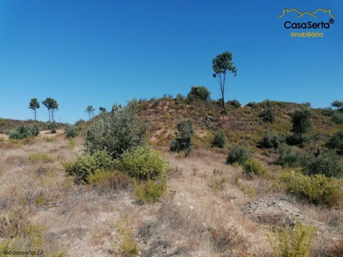 Terreno para Venda em Ortiga Foto 5