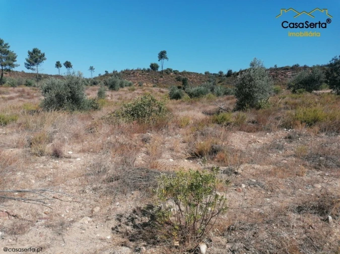 Terreno para Venda em Ortiga Foto 3