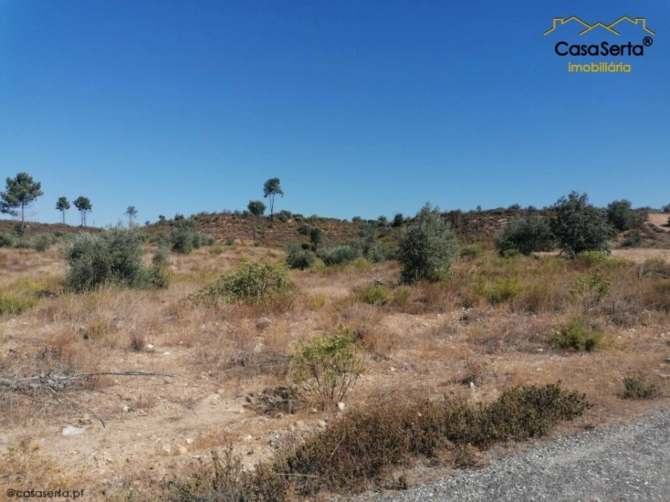 Terreno para Venda em Ortiga Foto 2