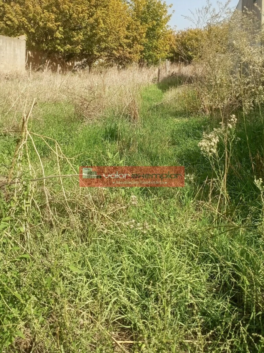 Terreno para Venda em São Francisco Foto 5