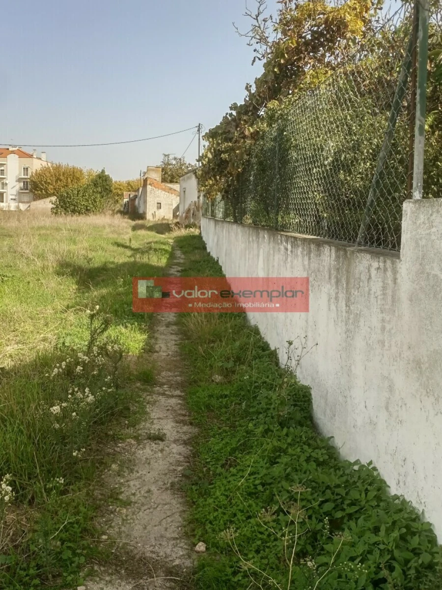 Terreno para Venda em São Francisco Foto 3