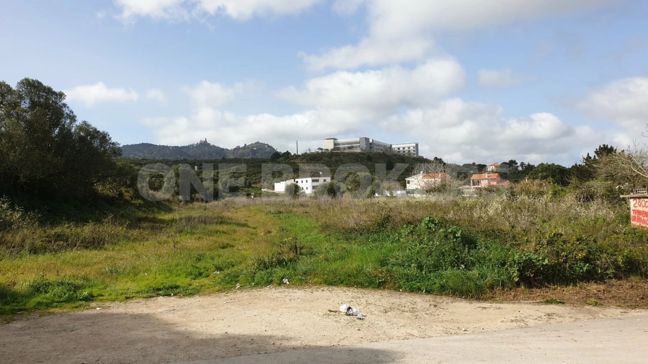 Terreno para Venda em Santa Maria e São Miguel, São Martinho, São Pedro Penaferrim Foto 1