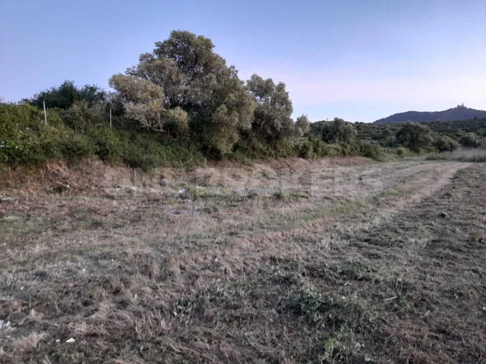 Terreno para Venda em Santa Maria e São Miguel, São Martinho, São Pedro Penaferrim Foto 2