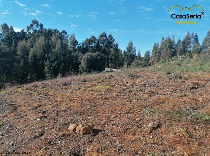 Terreno para Venda em Sertã Foto 3