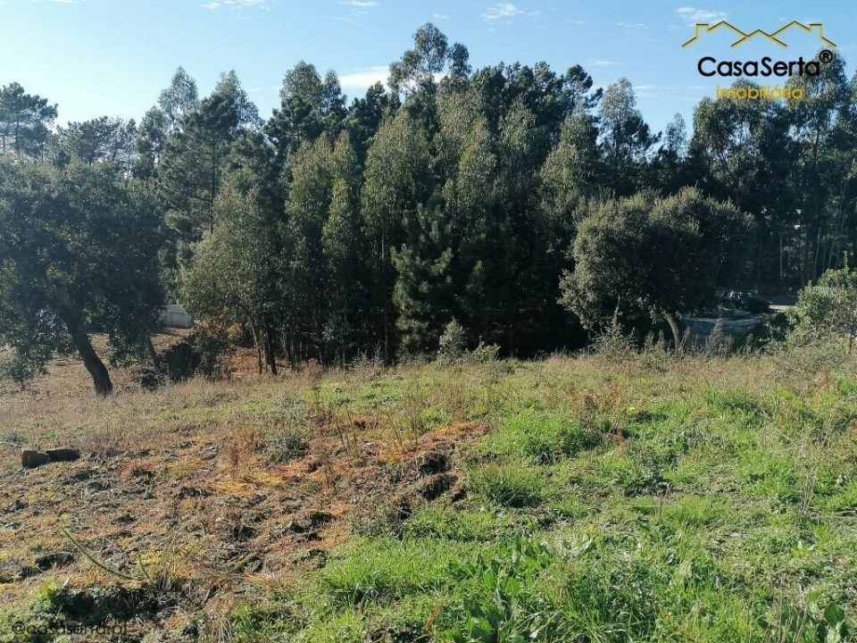 Terreno para Venda em Sertã Foto 4