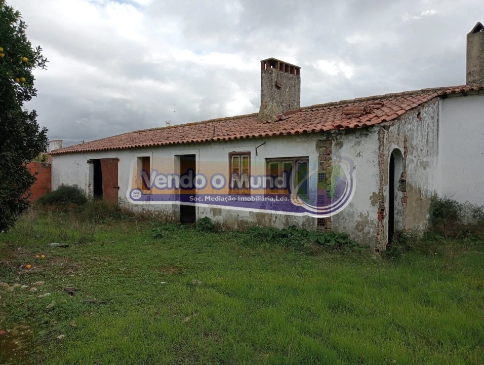 Terreno para Venda em Muge Foto 3