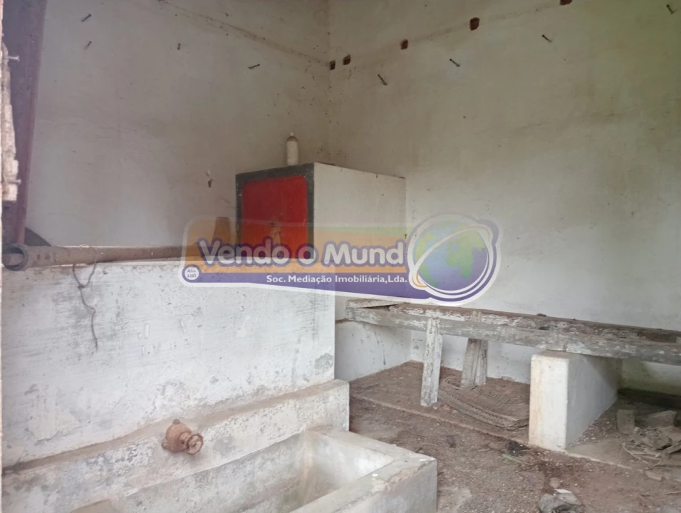 Terreno para Venda em Muge Foto 4