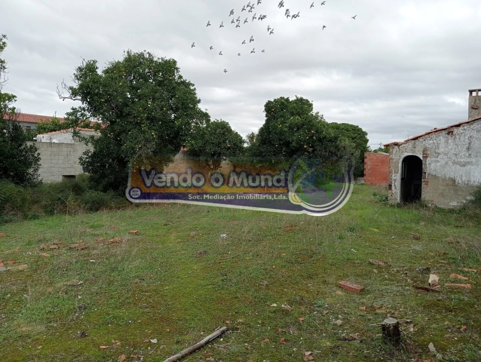 Terreno para Venda em Muge Foto 2