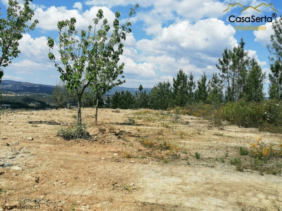 Terreno para Venda em Sertã Foto 5