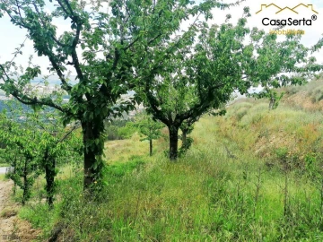 Terreno para Venda em Sertã