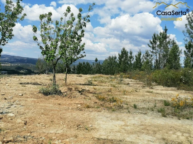 Terreno para Venda em Sertã Foto 5