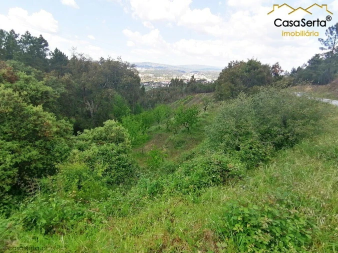 Terreno para Venda em Sertã Foto 7