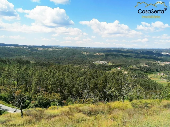 Terreno para Venda em Sertã Foto 3