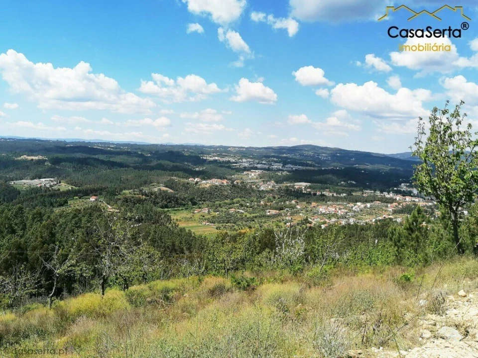 Terreno para Venda em Sertã Foto 2