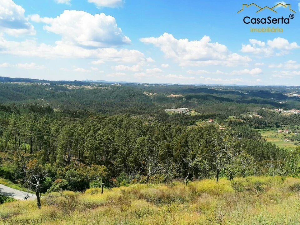 Terreno para Venda em Sertã Foto 3