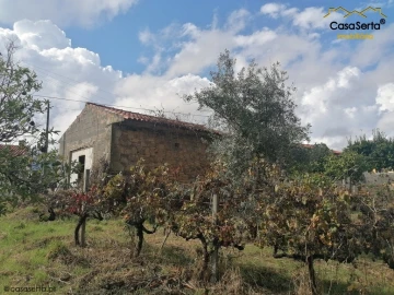 Terreno para Venda em Sertã