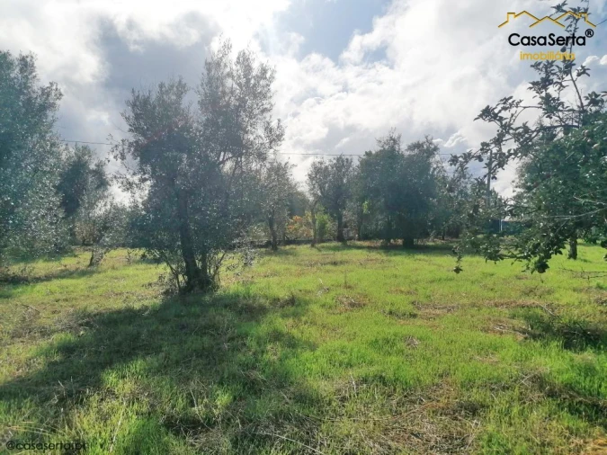 Terreno para Venda em Sertã Foto 8