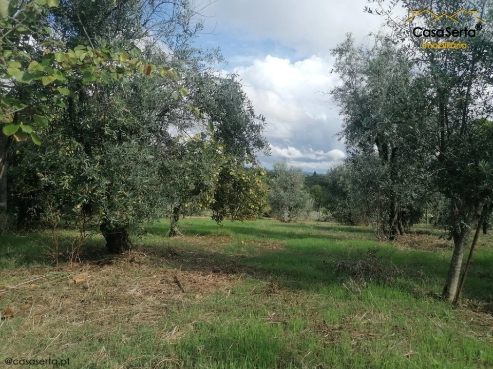 Terreno para Venda em Sertã Foto 13