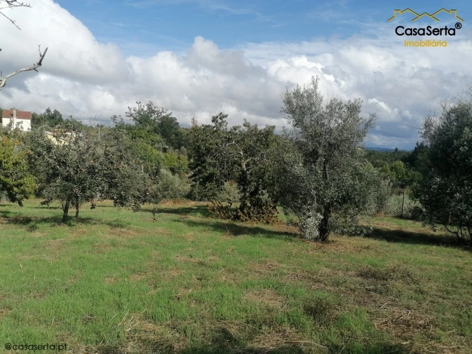 Terreno para Venda em Sertã Foto 11