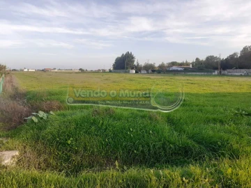 Terreno para Venda em Benavente