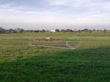 Terreno para Venda em Benavente