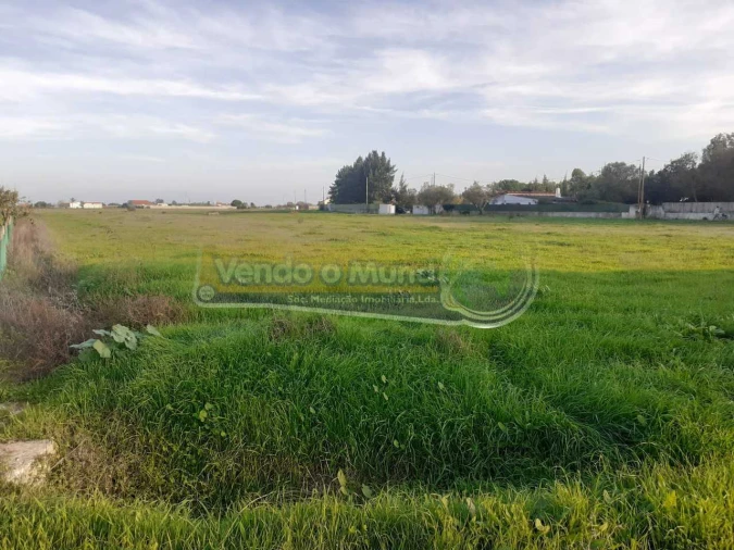 Terreno para Venda em Benavente Foto 3