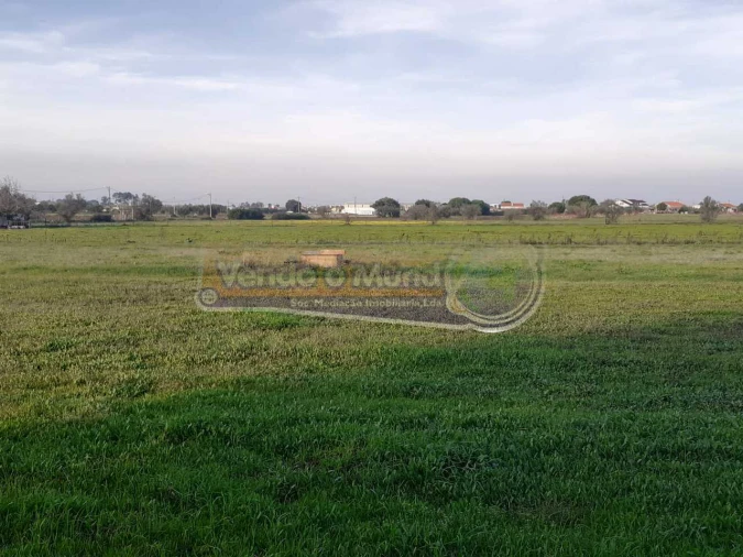 Terreno para Venda em Benavente Foto 2