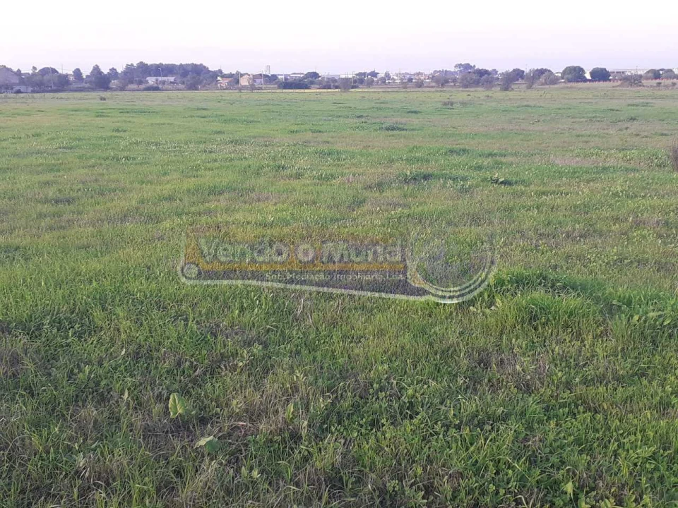 Terreno para Venda em Benavente Foto 4