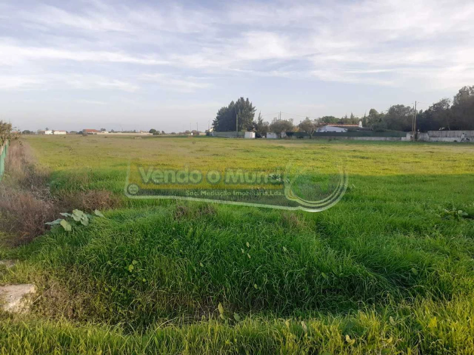Terreno para Venda em Benavente Foto 3