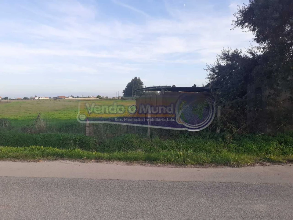 Terreno para Venda em Benavente Foto 6