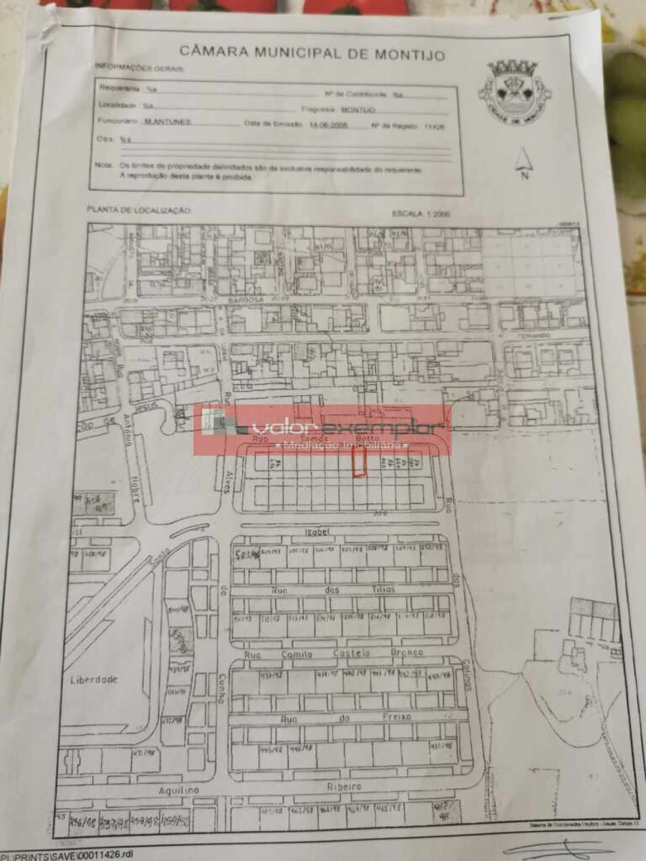 Terreno para Venda em Montijo e Afonsoeiro Foto 4