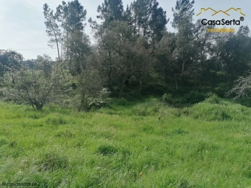 Terreno para Venda em Sertã