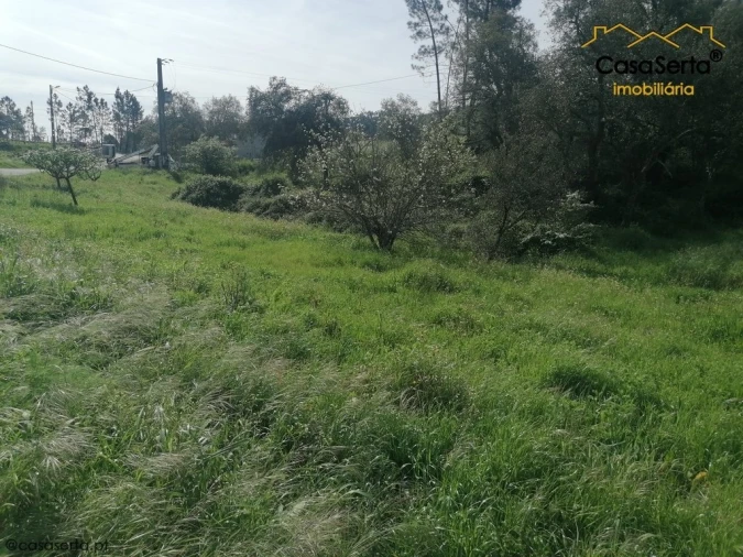Terreno para Venda em Sertã Foto 2