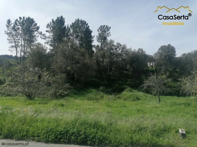 Terreno para Venda em Sertã Foto 4