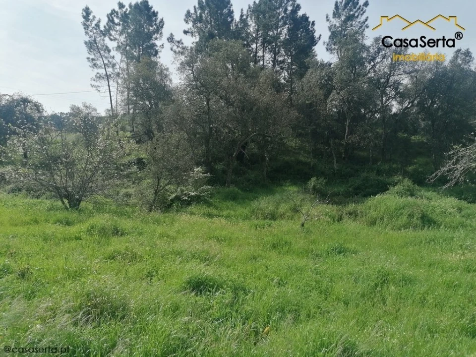 Terreno para Venda em Sertã Foto 1