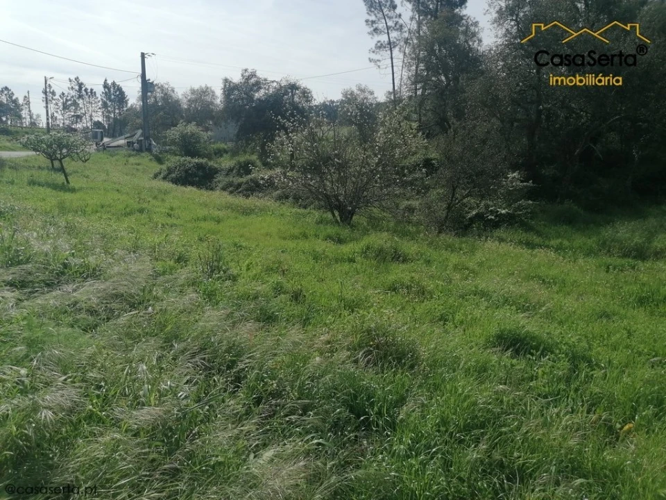 Terreno para Venda em Sertã Foto 2