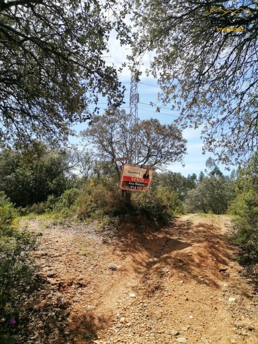 Terreno para Venda em Além da Ribeira e Pedreira Foto 2