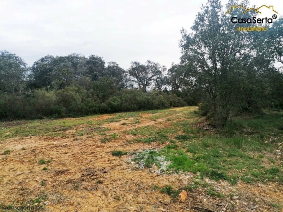 Terreno para Venda em Além da Ribeira e Pedreira Foto 5