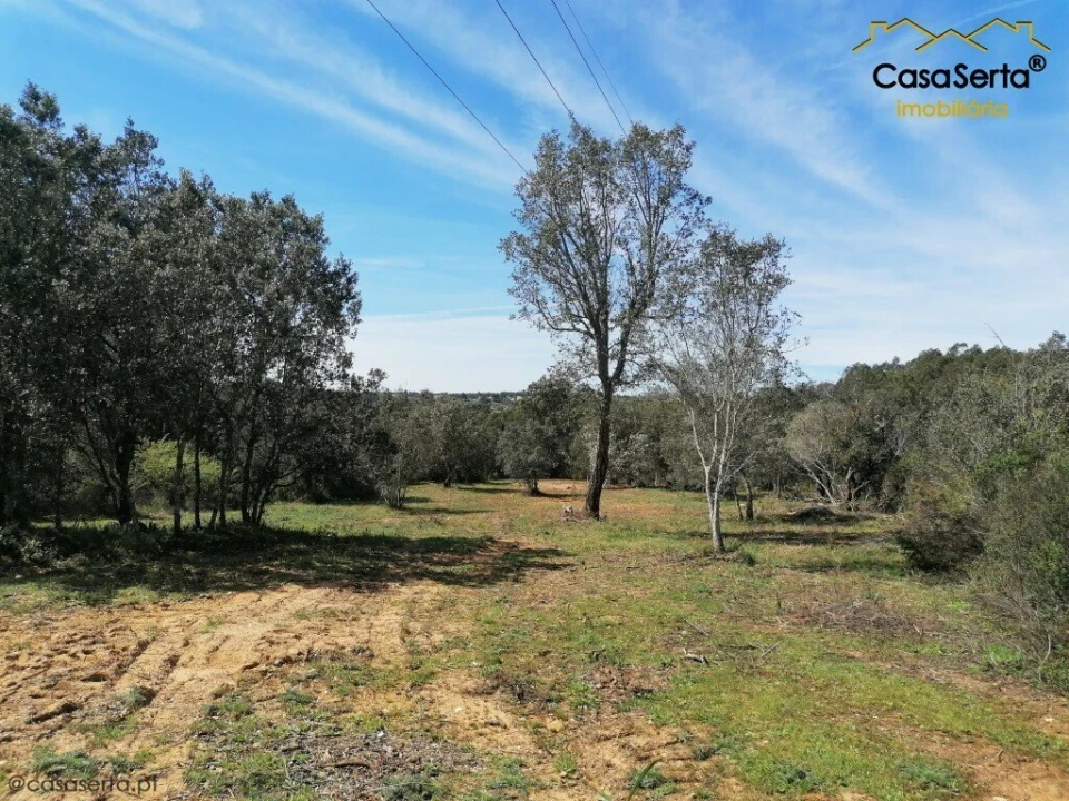 Terreno para Venda em Além da Ribeira e Pedreira Foto 3