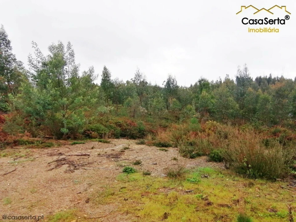 Terreno para Venda em Além da Ribeira e Pedreira Foto 6
