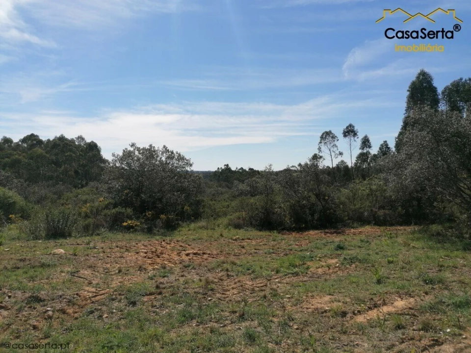 Terreno para Venda em Além da Ribeira e Pedreira Foto 4