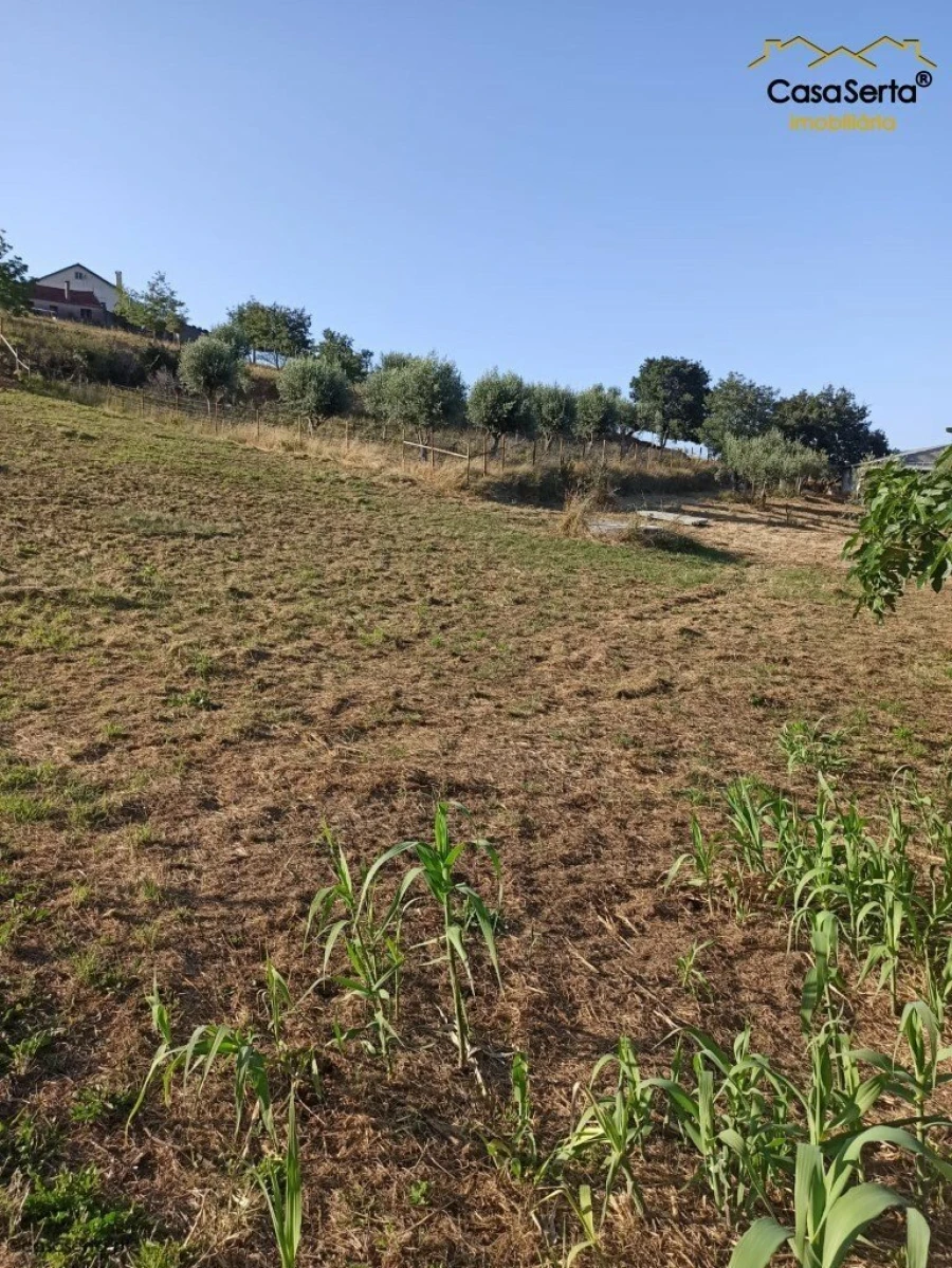 Terreno para Venda em Santiago e São Simão de Litém e Albergaria dos Doze Foto 2
